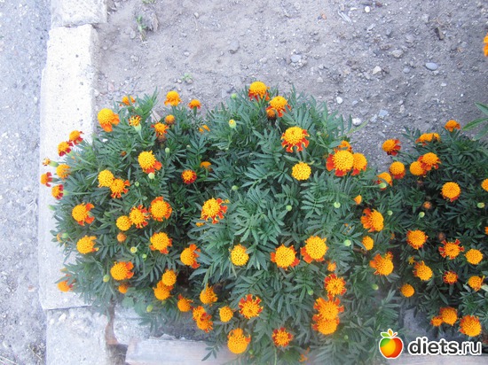 13 ����: �� ����� ����