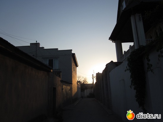 14 ����: �� ����� ����