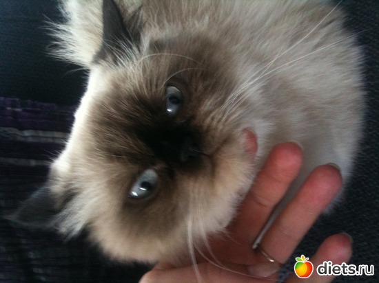 3 ����: ����