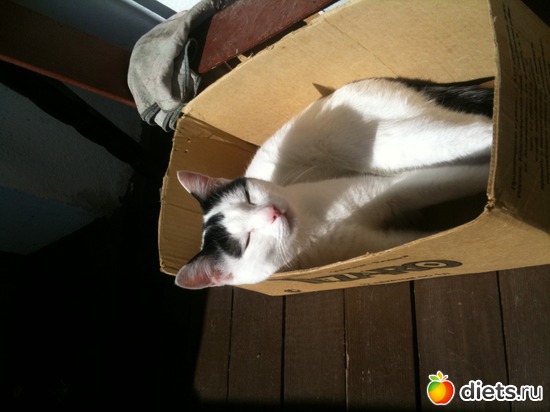 4 ����: ����