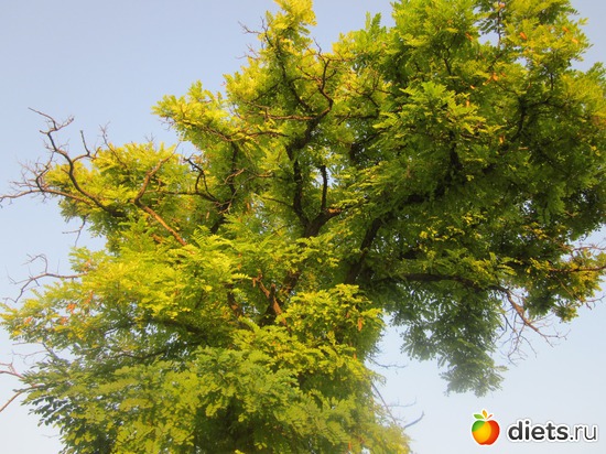 15 ����: �� ����� ����