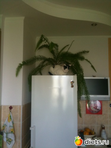 5 ����: ����