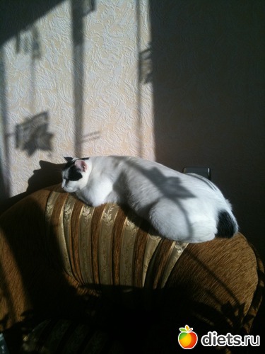 6 ����: ����