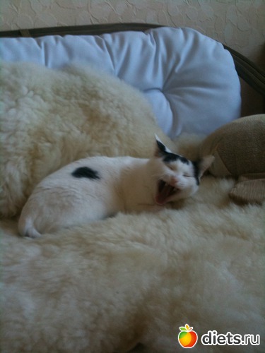 1 ����: ����