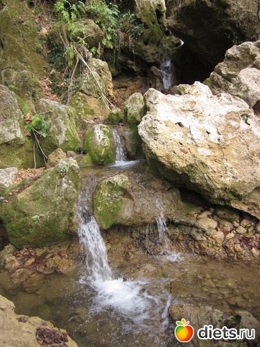 6 ����: �� ����� ����