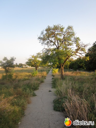 11 ����: �� ����� ����