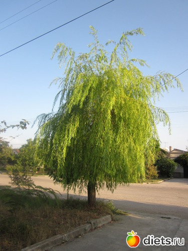 16 ����: �� ����� ����