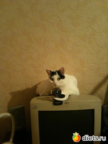 7 ����: ����