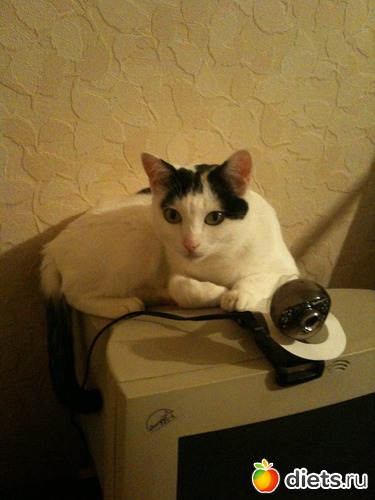 8 ����: ����