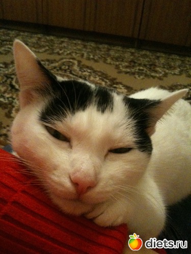 9 ����: ����