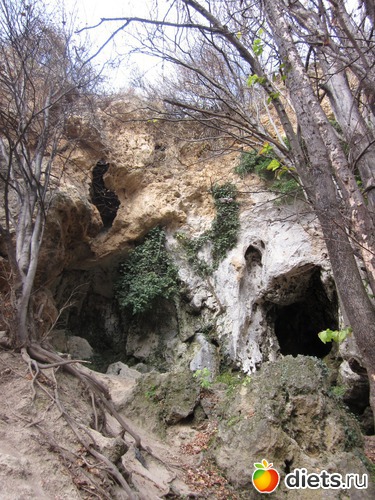 4 ����: �� ����� ����