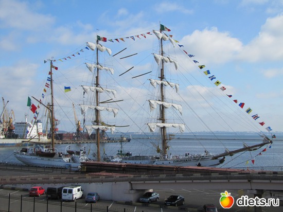 ����������. ���� 2011., ������: ��, ������!