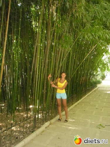 4 ����: ����� ��������� � ������ ���� 2011