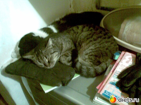 �����, ������: ��� �����