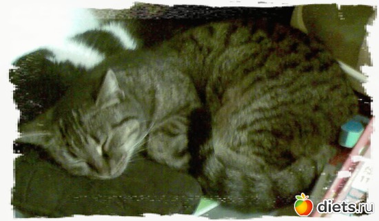 2 ����: ��� �����