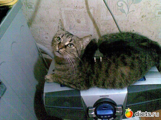 4 ����: ��� �����