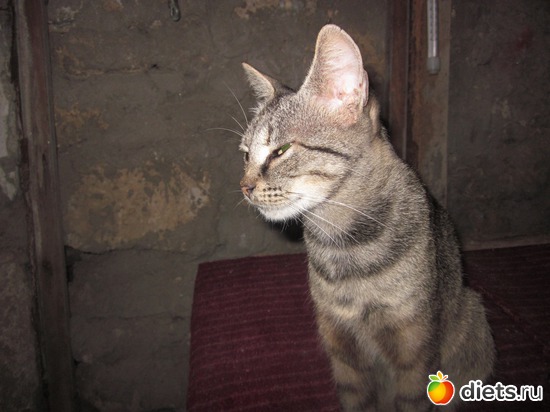 5 ����: ��� �����