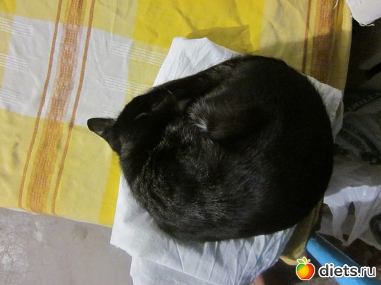 7 ����: ��� �����