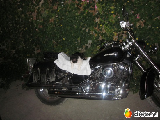 ���������, ������: ��� �����