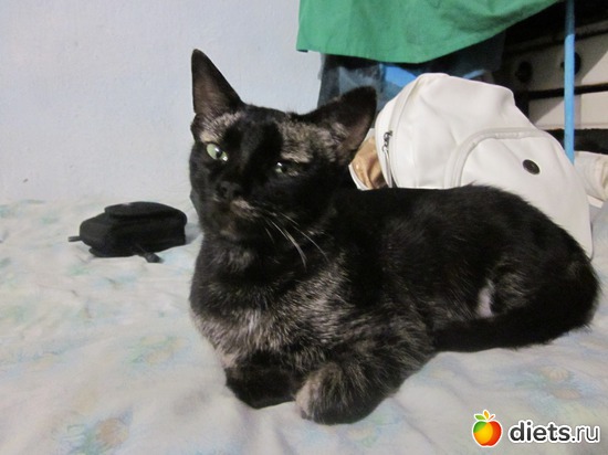 10 ����: ��� �����