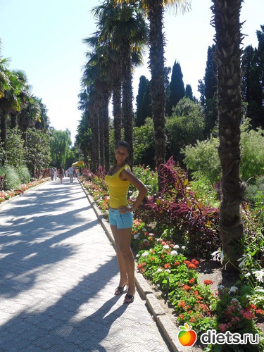 15 ����: ����� ��������� � ������ ���� 2011