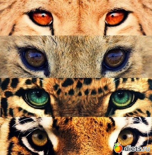 1 ����: ������ ����� 2