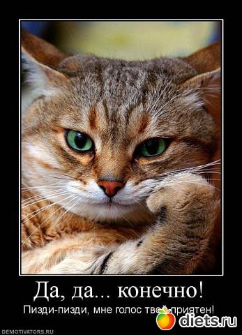 ������ ����� 2