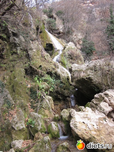 5 ����: �� ����� ����