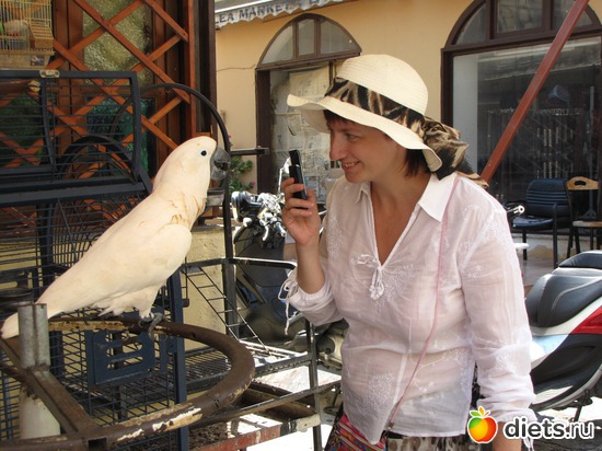 2011 �����, ������: �