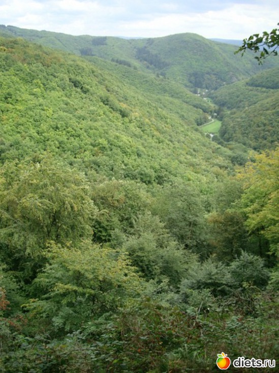 1 фото: Наши окрестности