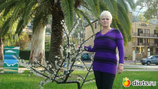 3 ����: �������