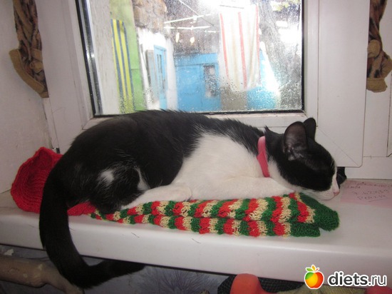 4 ����: ��� ��������� ���������