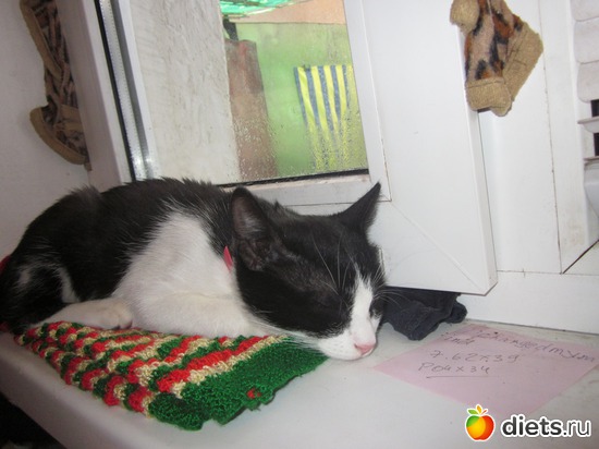 5 ����: ��� ��������� ���������