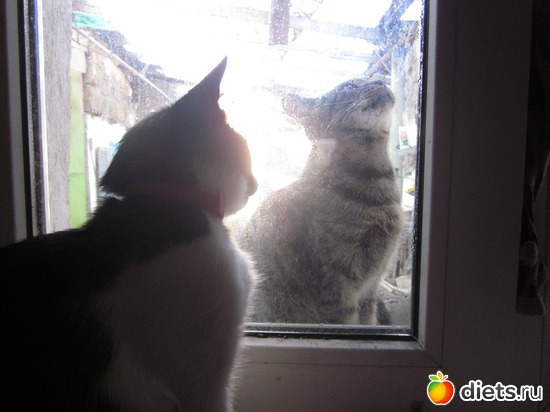 �� ��� �� ������� ����!, ������: ��� ��������� ���������