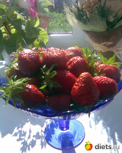 Урожай 2011г, альбом: МОИ ФОТО