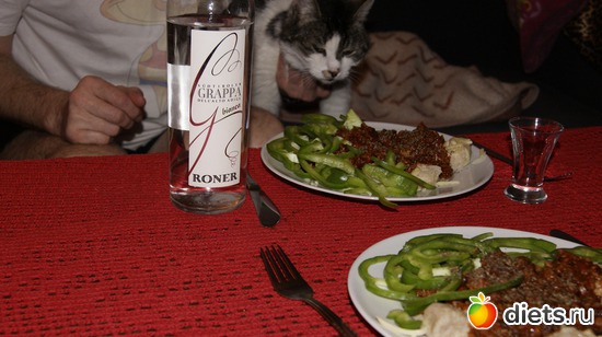 12 фото: Кошки и собаки! Все наши!