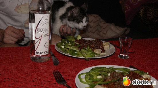 13 фото: Кошки и собаки! Все наши!