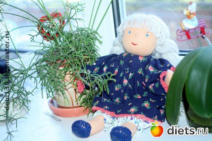 ��� ����������