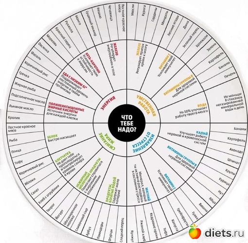 12 ����: ���