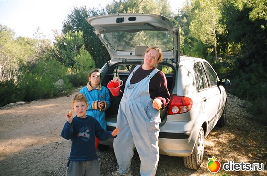 � �������-� �������� �������/2004 �./, ������: 2011-� ��� ��� ��