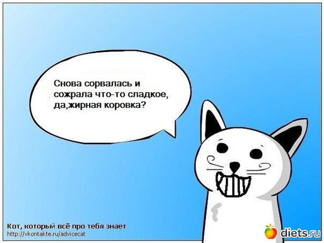 26 ����: � ���