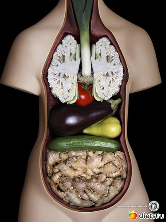 44 ����: � ���