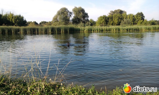 1 ����: ���� ������� �����