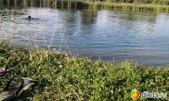 2 ����: ���� ������� �����