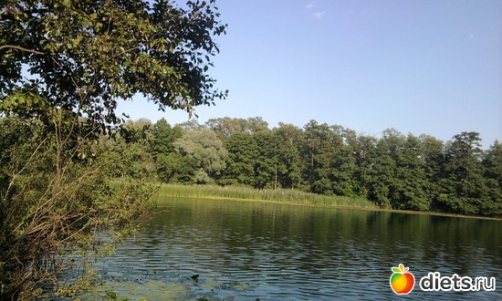 3 ����: ���� ������� �����