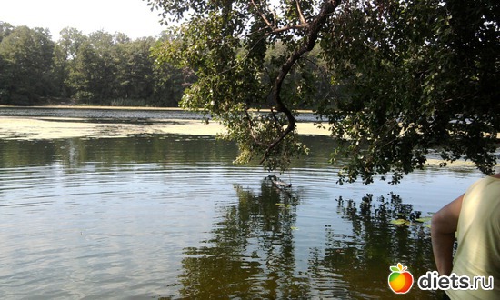 4 ����: ���� ������� �����