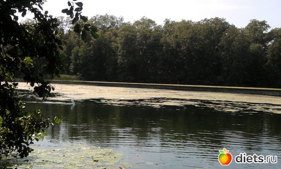 6 ����: ���� ������� �����