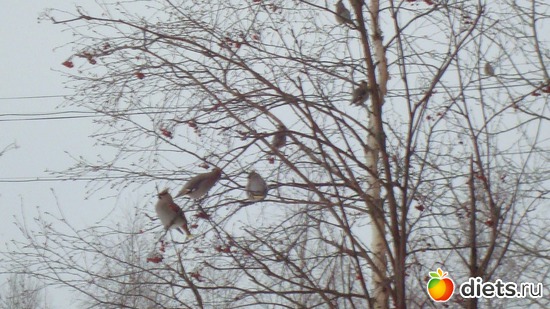 11 ����: ������� ����������