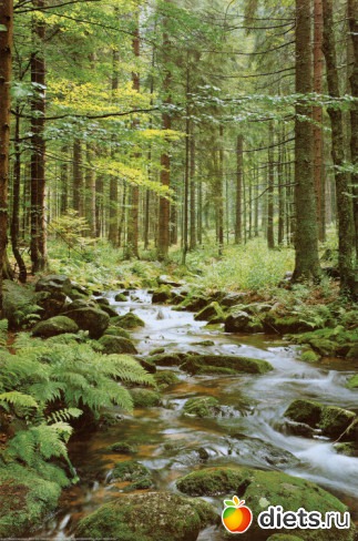 �������