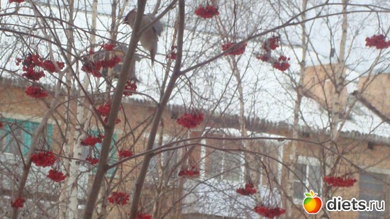 12 ����: ������� ����������